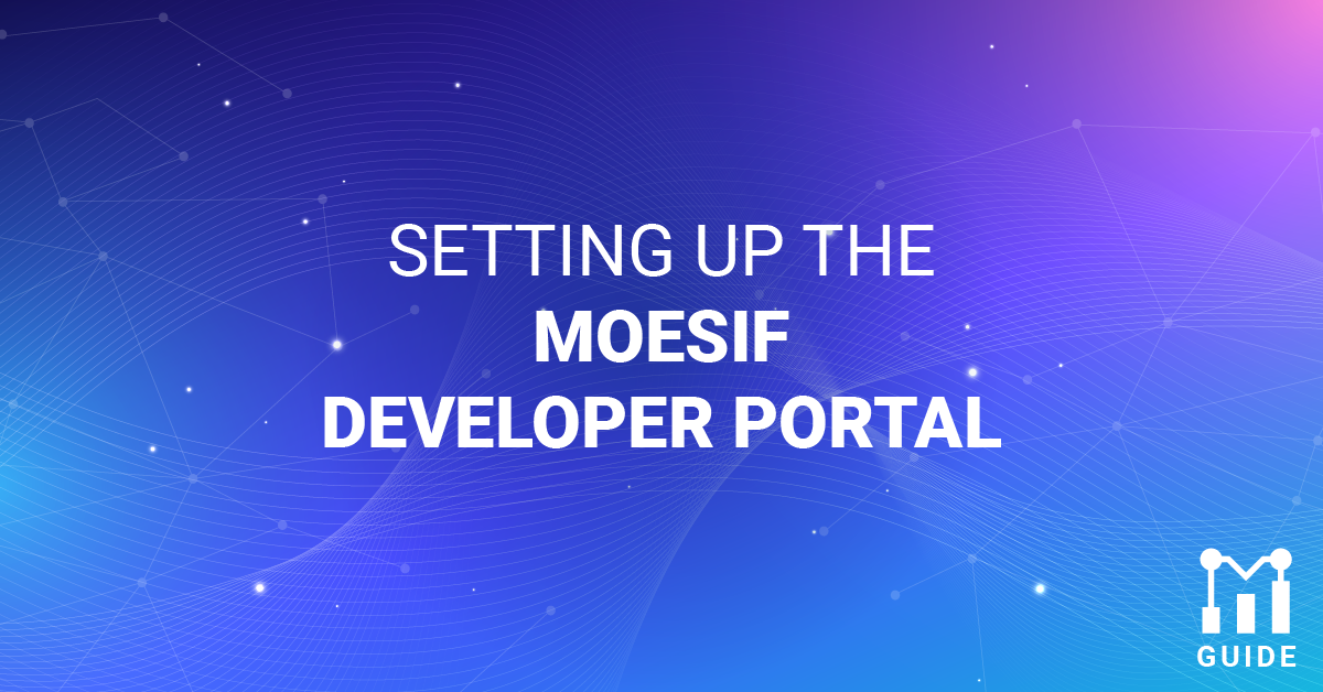 Setting up the Moesif Developer Portal
