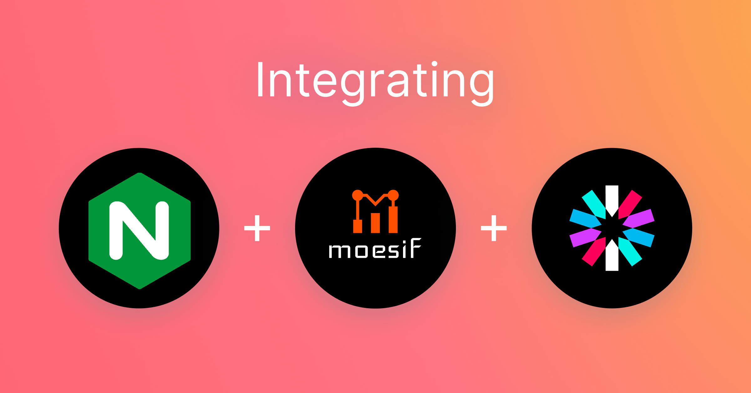 Api Observability And Monetization With Nginx Openresty And Moesif